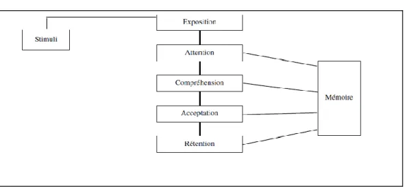 Figure 4. Le processus perceptuel 