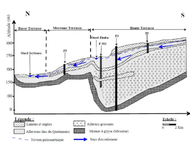 Fig. n°2. Coupe hydrogéologique   3.2.2. Réseaux hydrographique  