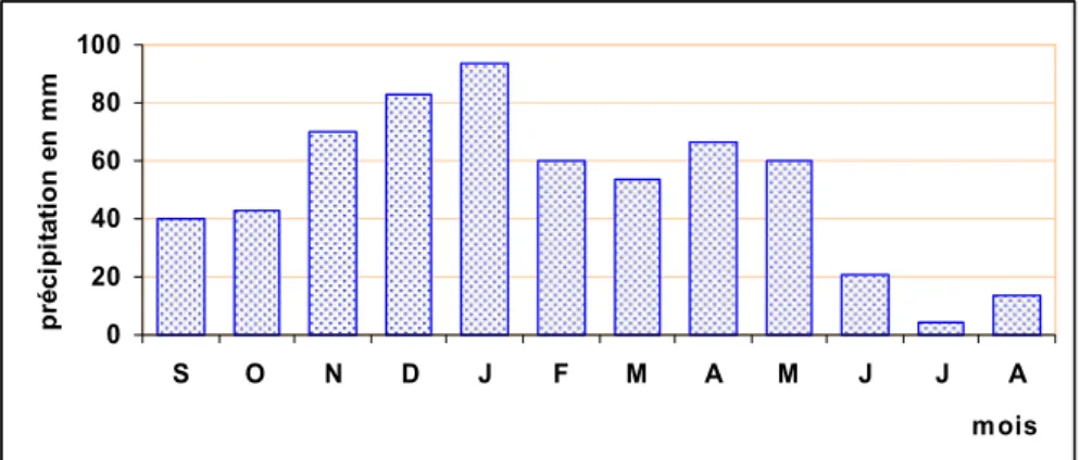 Fig. n°5. L'évolution moyenne mensuelle des précipitations à la station de  Belkheir  