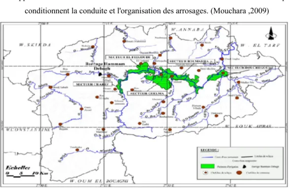Fig. n°6: Carte de localisation des différents secteurs du périmètre d’irrigation de la  plaine de Guelma