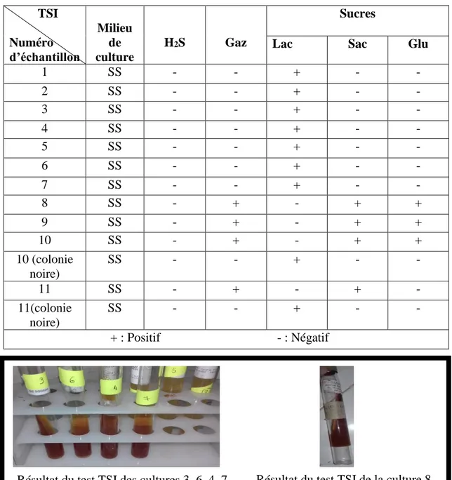 Tableau 10. Résultat du test TSI. 