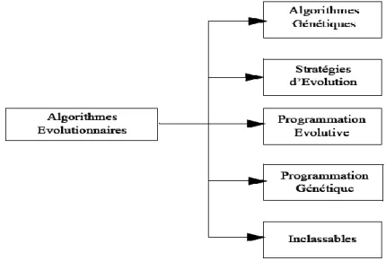 Figure 2.1 : Différentes branches des algorithmes évolutionnaires. 