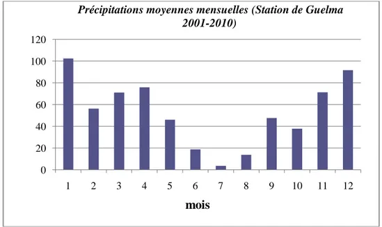 Figure 5 : Précipitations moyennes mensuelles (Station de Guelma 2001-2010) 