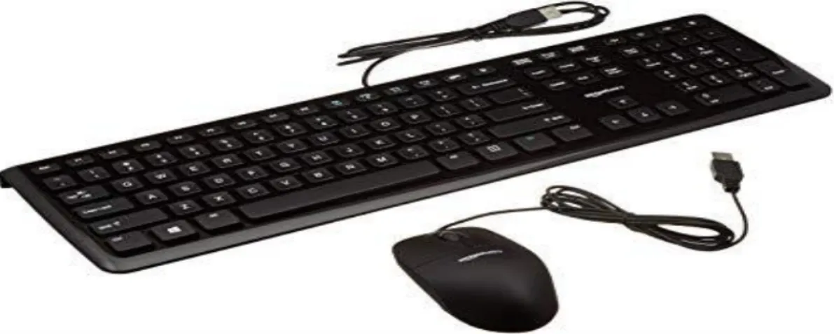 Figure I-8 : clavier et souris 