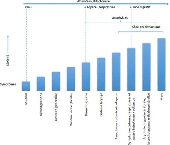 Figure 1 : Symptômes liés à l’anaphylaxie d’après (Pichler et al., 2010).