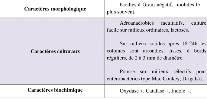 Tableau 05 : Principaux caractères d’Escherichia coli. 