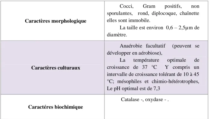 Tableau 9: Principaux caractères d’Enterococcus faecalis. 