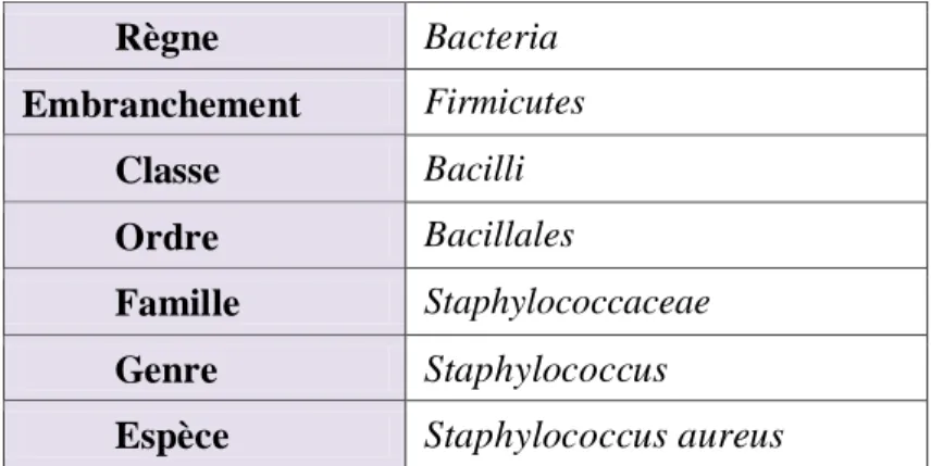 Tableau 10 : Taxonomie de Staphylococcus aureus. 