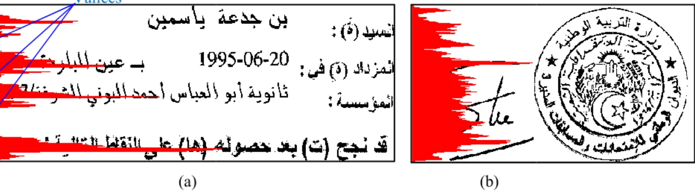 Figure 3.9: Histogramme de projections horizontales, (a) d'un bloc