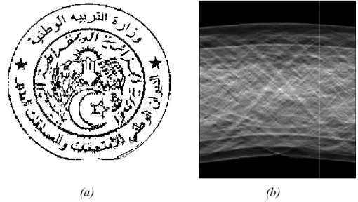 Figure 3.11:  Détection d'un graphique, (a) image de cachet, (b) sa transformée de Radon  Algorithme d'identification des blocs textuels