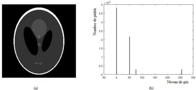 Figure 3.1 : (a) image synthétique fantôme, (b) Histogramme de niveau de gris 