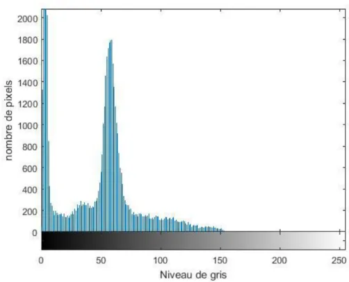 Figure 3.3 : Histogramme de l’image  