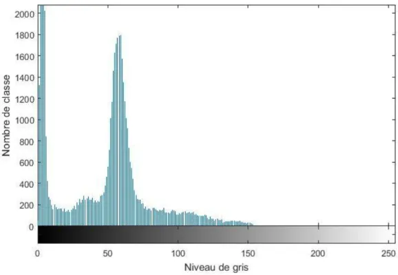 Figure 3.6 : histogramme de l’image de la figure (3.5) 