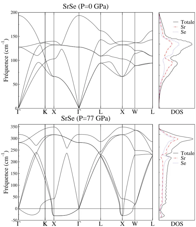 Figure 6.6: Spectre des phonons et la densité d'état des phonons (DOS) calculés pour SrSe à P = 0 et à P = 77 (en GPa), dans la phase B1.