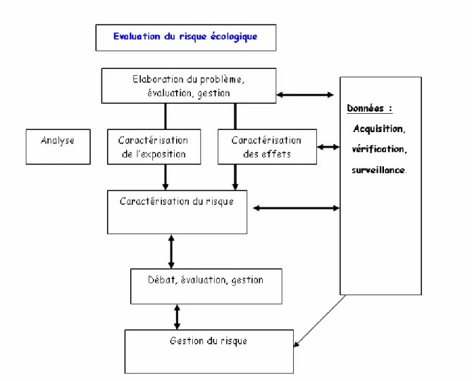 Figure 17.  Gestion du risque. 