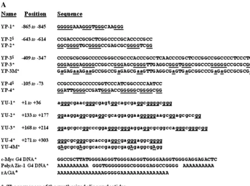 Figure 2. The CD and DMS footprinting to determine the G4 structure of the oligodeoxyribonucleotides