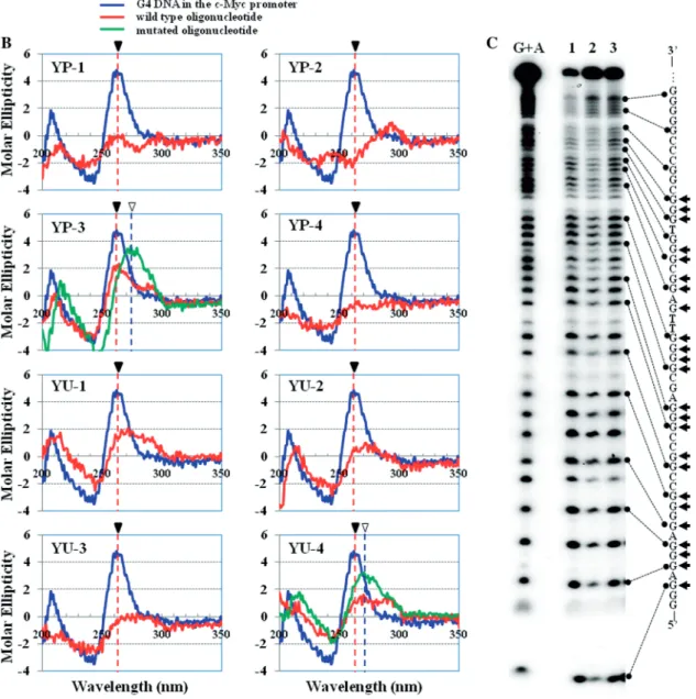 Figure 2. Continued.