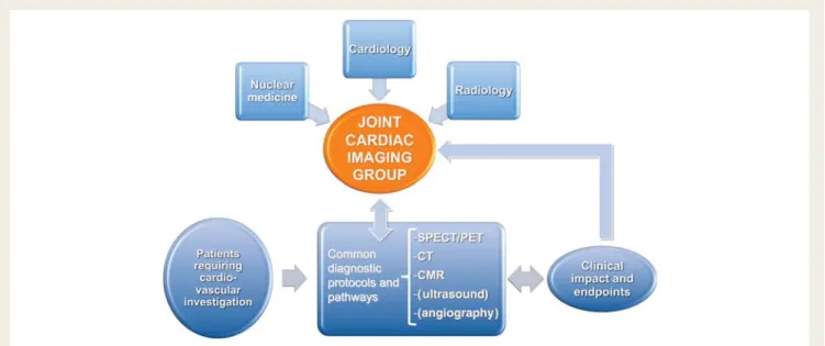 Figure 6 Fusion beyond images. Possible organization of joint multi-disciplinary diagnostic services