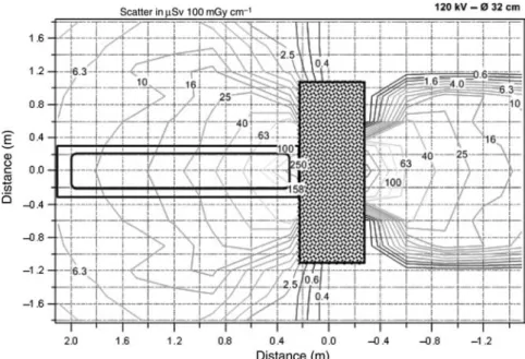Figure 3. H*(10) isodose curves obtained at a tube voltage of 120 kV with a CTDI trunk phantom.