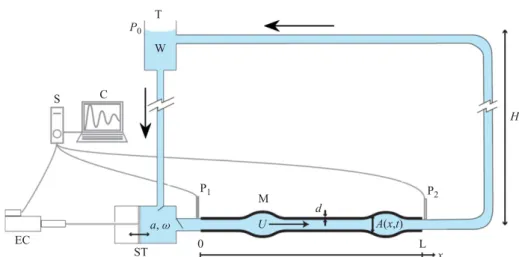 Figure 2. (Colour online) Sketch of the experiment: T = tank, W = water, ST = stroke (oscillatory motion of the amplitude a and the angular frequency ω), C = computer, S = servo, EC = electrical cylinder, P 1 and P 2 = pressure sensors and M = elastic memb
