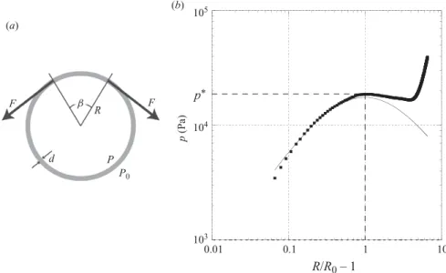 Figure 4. A pressure law for the cylindrical membrane: (a) scheme for the equilibrium, (b) experimental evolution of the transmural pressure p with the relative deformation R/R 0 − 1 (  )