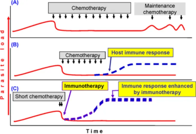 Figure 1. Schematic representation of chemotherapy plus immunother- immunother-apy in leishmaniasis