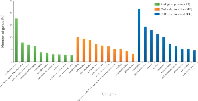 Fig. 6 Classification of papilla-expressed genes by gene ontology, in A. thaliana, A. halleri and B