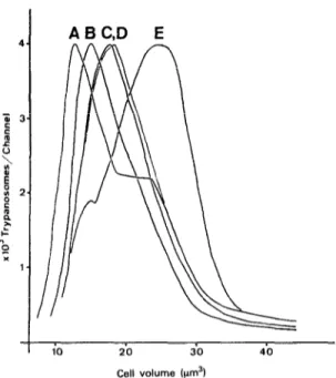 Fig.  1. Size distribution  curves of  T.  brucei STIB  247 populations  grown  in  vitro  and  in  viva  A  =  cultore,  supernatant  population; 