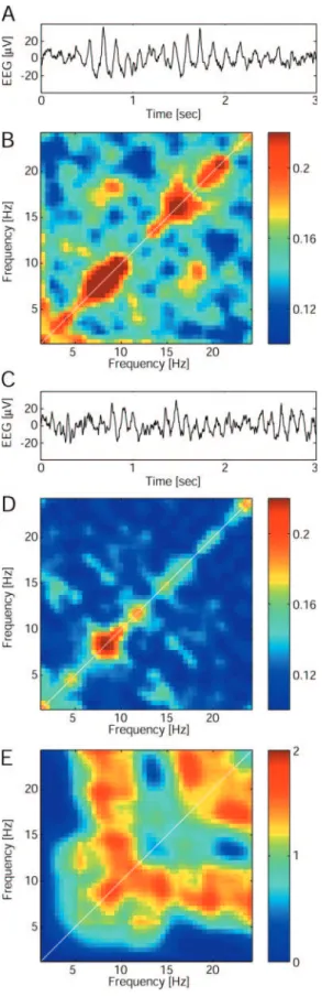 Fig. 4 Inter-frequency relationships for the EEG signal recorded at the electrode FCz