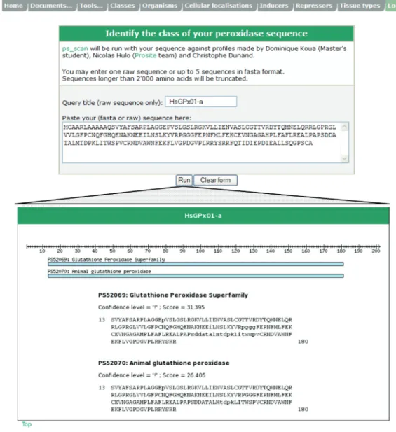 Figure 3. The new PeroxiScan interface and result. PeroxiScan tool enables the identiﬁcation of a given peroxidase sequence