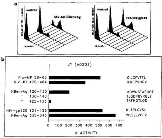 Fig. 1. Identification of HLA-A2 binding peptides. (a) Stabilization of surface HLA-A2 molecules in T2 cells by HIVgp12O(121-129) and by HBenvAg(335-343) peptides as detected by surface staining with anti-A2 antibody, (b) Effect of peptide and fem on refol