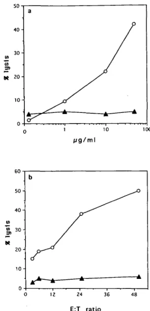 Fig. 3. Dose-response curves of in wf/o-primed CTL. (a) HIVgp120(121-129J-primed CTL showed cytotoxic activity, at an E:T ratio 25:1, against ' 1 Cr-labelled target cells, previously pulsed with increasing concentrations of HIVgp12O(121-129) peptide (O), b