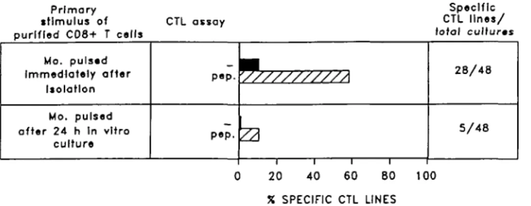 Fig. 4. Peptide pulsing of monocytes is most effective in the first hours of in vitro culture