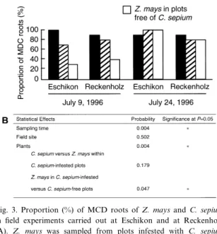Fig. 3. Proportion (%) of MCD roots of Z. mays and C. sepium in ¢eld experiments carried out at Eschikon and at Reckenholz (A)