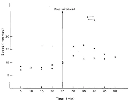 Fig. 18. Graph (average of six experiments) showing the running speed (in mm/sec) of Amitermes evuncifer from and to arena, before and after food supply.