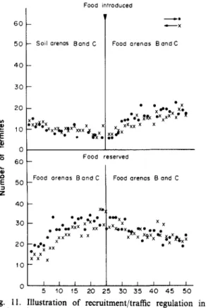 Fig. 11. Illustration of recruitment/traffic regulation in relation of newly supplied food source (arena) when food is