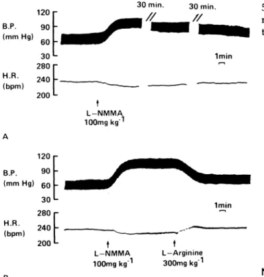 FIGURE 4. Effect of L-N G -monomethyl arginine (L-NMMA; 