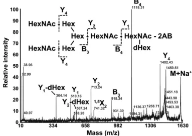Fig. 7. Reducing-end-saccharide analysis. The NP-HPLC peak fractions corresponding to S2 before (dotted line) and after JBBH digestion were analyzed by RP-HPLC