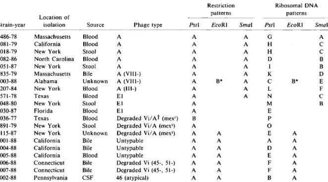 Table 1. Typing of Salmonella typhi strains of various phage types by analysis of restriction and rONA patterns.