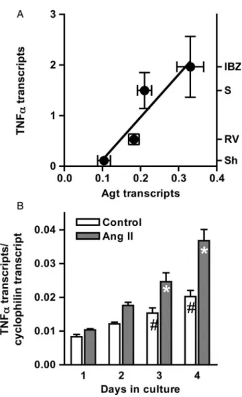 Figure 5 Ang II induces expression of TNFa in post-infarction failing hearts and in vitro
