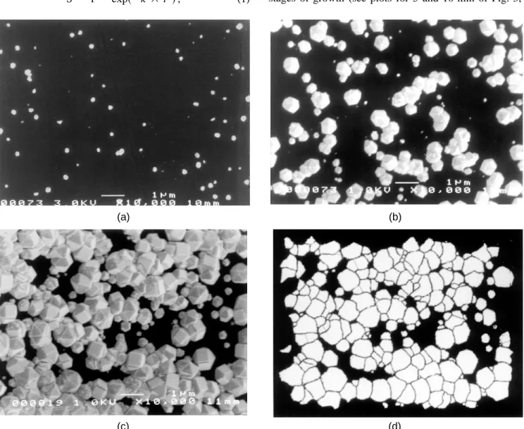 FIG. 1. SEM photographs for different deposition times: (a) 10 min, ( b) 30 min, and (c) 50 min; (d ) print of (c) after processing by the IBAS 2000 system.