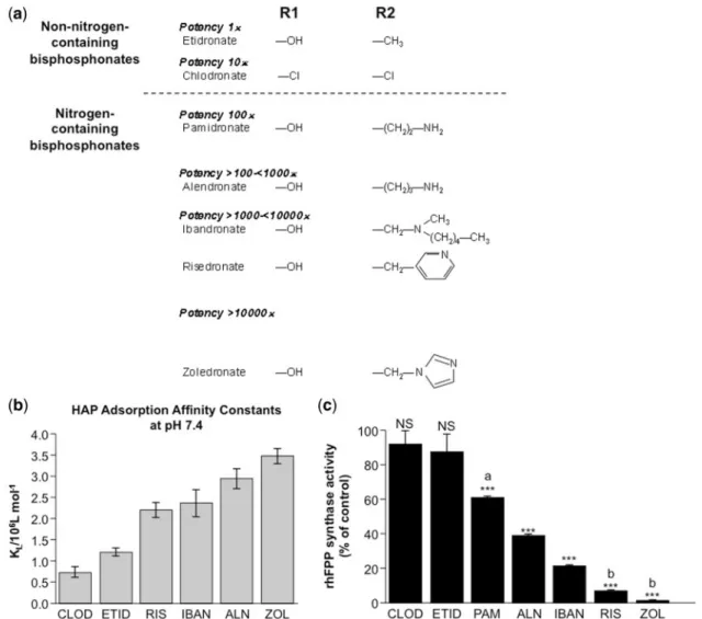 Figure 2. (a) Structure and relative potency of bisphosphonates. 94 Relative potency at inhibiting bone resorption in rats as compared with etidronate
