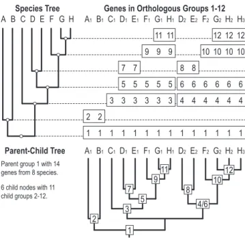 Figure 2. Hierarchical parent–child trees.