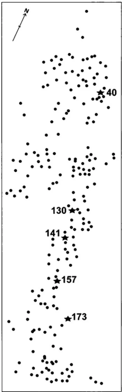 Figure 5. M¨unsingen-Rain. The five females buried in Graves 40, 130, 141, 157 and 173 exhibit the closest genetic links.