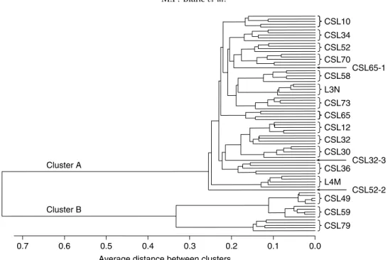 Fig. 1. UPGMA dendrogram computed from Nei &amp; Li’s (1979) genetic distances between AFLP profiles of individual beetles of Lasioderma serricorne (16 colonies)