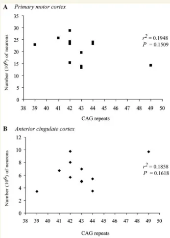 Figure 8 Comparison of total neuronal number (NeuN) in the (A) primary motor cortex and (B) anterior cingulate cortex with the number of CAG repeats in the IT15 gene in the Huntington’s disease cases