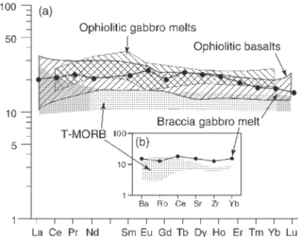 Fig. 8. (a) The REE pattern of the parental melt for the Braccia