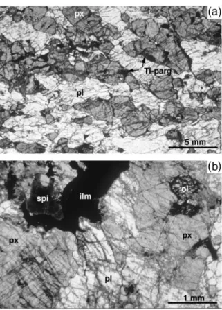 Fig. 2. (a) Mg gabbro G-F 105 consists mainly of pyroxenes (px) and lationships of Ti-pargasite in the Mg gabbros it is not clear