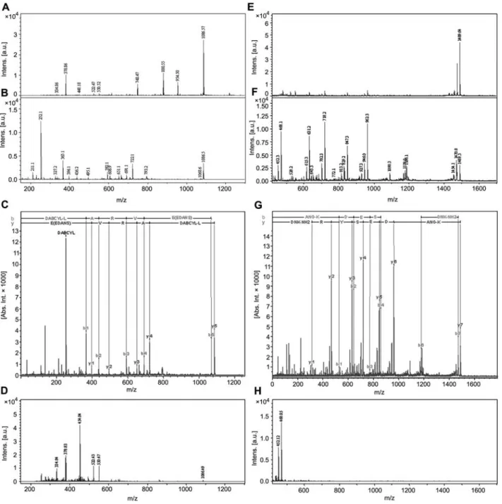 Figure 2 Mass spectrometry analyses of cleaved fluorigenic peptides.
