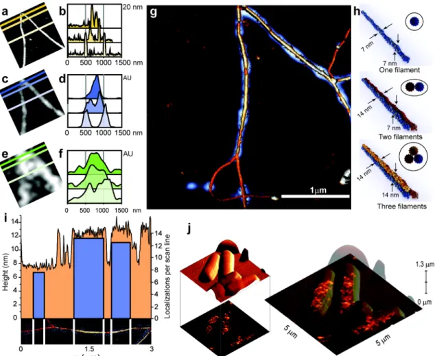 Figure 1: Comparison of AFM, dSTORM and TIRF imaging resolution from correlative imaging